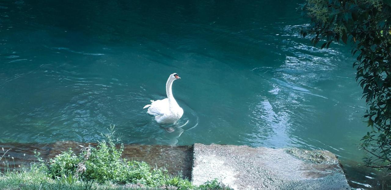 Ampio Appartamento Vicino Al Centro Di Treviso, Parcheggio Gratuito מראה חיצוני תמונה