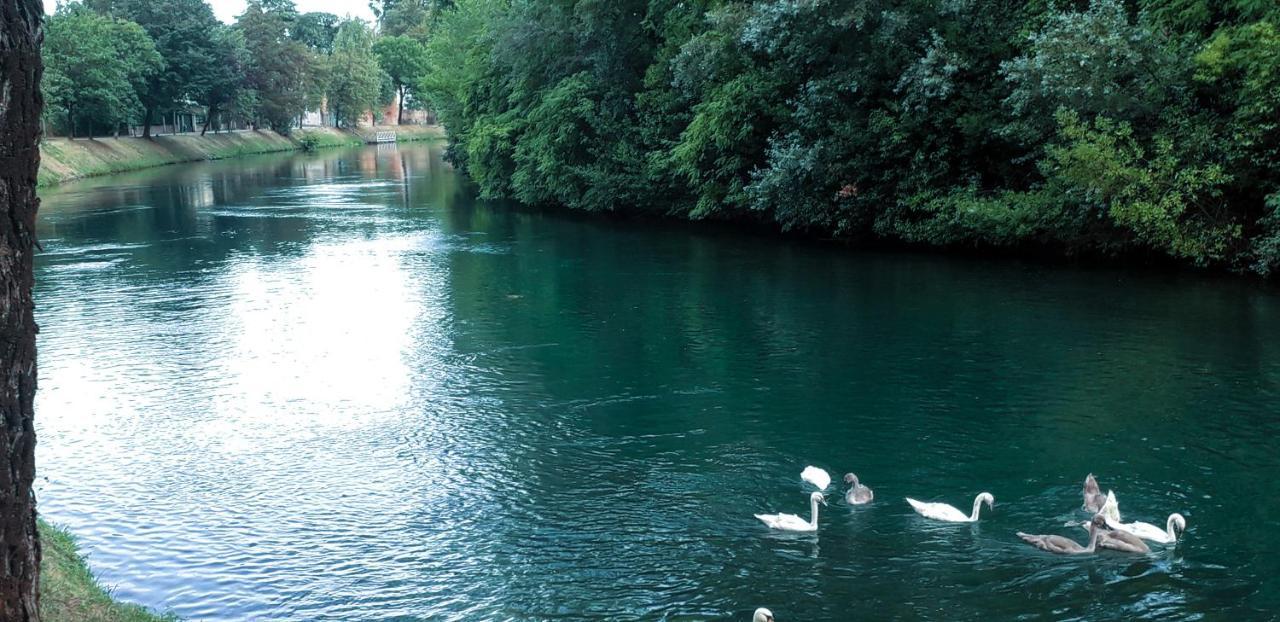 Ampio Appartamento Vicino Al Centro Di Treviso, Parcheggio Gratuito מראה חיצוני תמונה